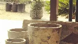 Lopez Landscape & Nursery