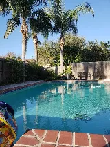 Wade In The Water Pool & Spa Services LLC photo 5