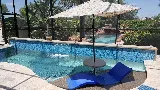 South Texas Pools & Spas photo 3