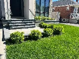 RockLeaf Landscaping & Construction photo 2