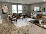 Paint Denver photo 7