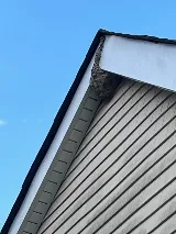 United Exterminators photo 6