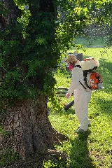 Bugman Pest Control photo 4