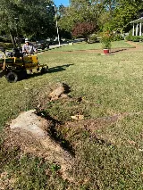 Lawn & Garden Landscaping photo 4
