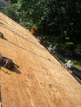 Lionshield Roofing Company photo 7