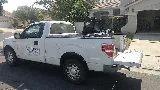 EcoGuard Pest Management photo 4