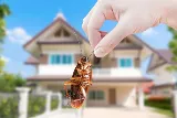 CANADIAN PEST CONTROL photo 4