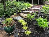 Landscape Design Solutions photo 7