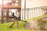 Evo Pest Control photo 5