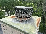 Austin Pest Control photo 5