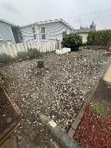 Pierce Landscapers & Lawn Care photo 3