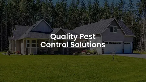 Gannon Pest Control in Syracuse