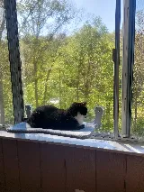 Window World of Kanawha photo 7