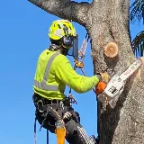 Affordable Tree Service, Inc. photo 6
