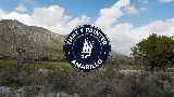 That 1 Painter Amarillo