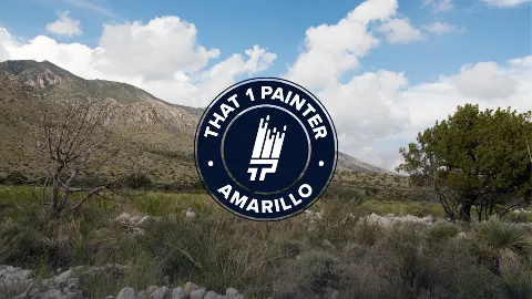 That 1 Painter Amarillo in Amarillo