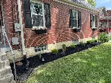 Lia's Landscaping