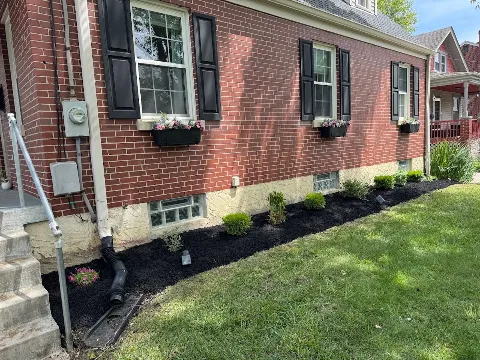 Lia's Landscaping photo 1