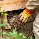 Technica Pest Solutions