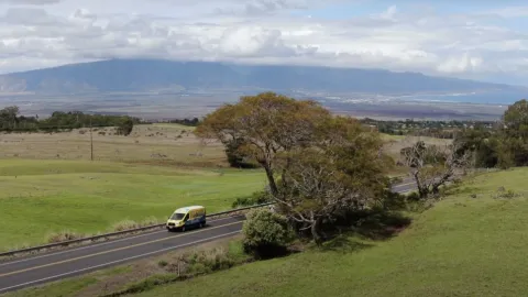 All Aloha Plumbing and Drain Cleaning Oahu photo 1