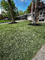 Niko's Gardening Inc. photo 3
