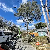 Albert & Ellis Landscaping & Tree Service photo 6