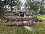 Your Friendly Neighbor Landscaping & Tree Service photo 5
