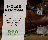 OMNI Pest Solutions photo 4