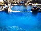 Priority Pool Service photo 3
