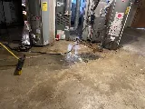 Warrior Sewer and Drain photo 4