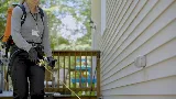 JP Pest Services photo 6