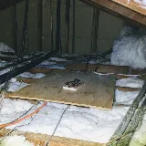 Y's Pest Control photo 4