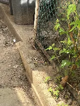 Newark Exterminator Last Stop Pest Control photo 7