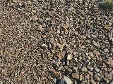 Pryce Landscape Products photo 6
