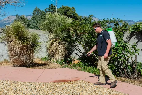 A-Extreme Services Green Pest Management photo 1