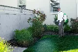 proof. Pest Control photo 7