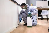 CEOS Pest Control Services photo 6