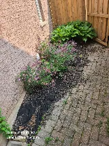 Rozy Landscaping photo 6