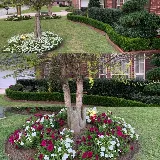 Nolagreen Landscaping, LLC photo 3
