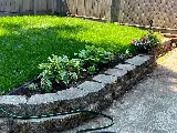 Upscaled Yard & Gardens photo 6