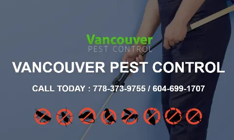 Vancouver Pest Control Ltd photo 1