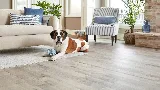 Tile Town Carpet One Floor & Home photo 2