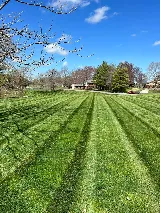 Wade's Reliable Lawncare photo 3