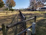 Kickin' Grass & Takin' Names Lawn Care photo 8