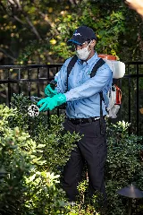 HomeTeam Pest Defense photo 7