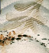 All Out Bed Bug Exterminators NYC photo 3