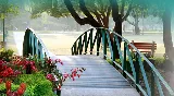 Tidewater Landscape Management Inc photo 2