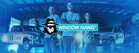 Window Gang photo 1