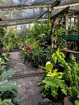 Delray Garden Center photo 2