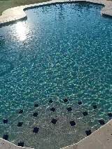 Rigo's pool service photo 3